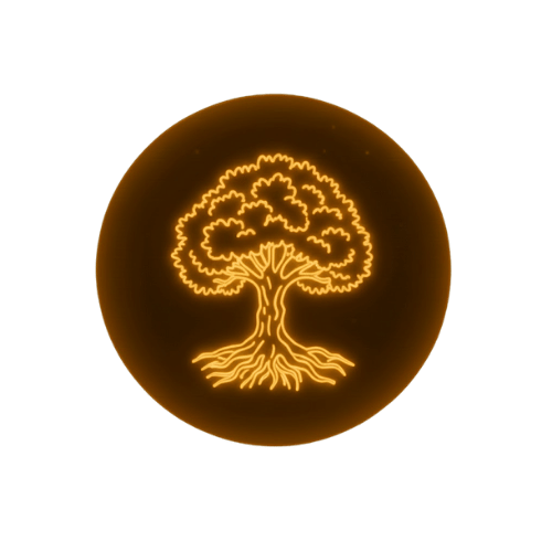 Descripción de la imagen