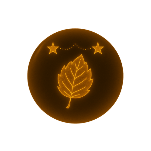 Descripción de la imagen